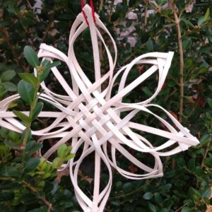 Woven Holiday Star with Jennifer Johnson
