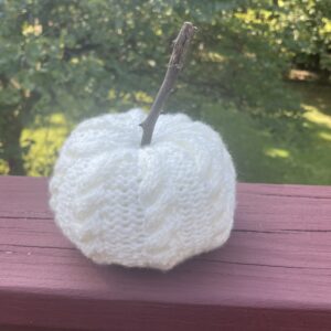 Knitted Pumpkin with April Jennings